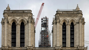 A un an de la r&eacute;ouverture, Macron sur le chantier de Notre-Dame de Paris