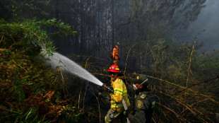 Col&ocirc;mbia em alerta por 21 inc&ecirc;ndios florestais em meio a calor recorde