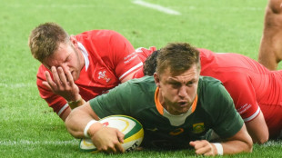Rugby: l'Afrique du Sud domine le pays de Galles (30-14) et remporte la s&eacute;rie de tests