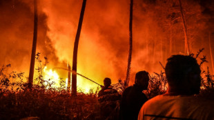 Incendies: la Gironde "mieux pr&eacute;par&eacute;e" mais prudente pour l'&eacute;t&eacute; d'apr&egrave;s