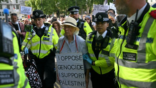 Pr&egrave;s de 900 arrestations &agrave; Londres &agrave; un rassemblement de soutien &agrave; Palestine Action