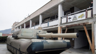Des armes gonflables tch&egrave;ques en force depuis l'invasion russe en Ukraine