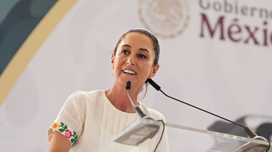 Sheinbaum, 'in Usa non si usi il Messico in campagna elettorale'