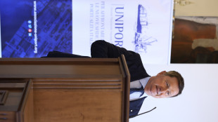 Uniport, porti resistono ma servono infrastrutture, semplificazione e regole certe