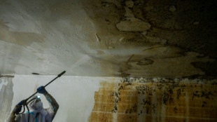 "Rien n'avance": un mois apr&egrave;s les inondations, la lassitude pointe chez les sinistr&eacute;s en Espagne