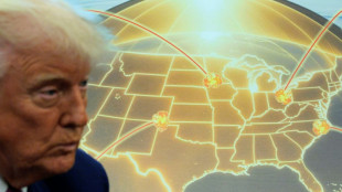 Trump 'Golden Dome' plan tricky and expensive: experts