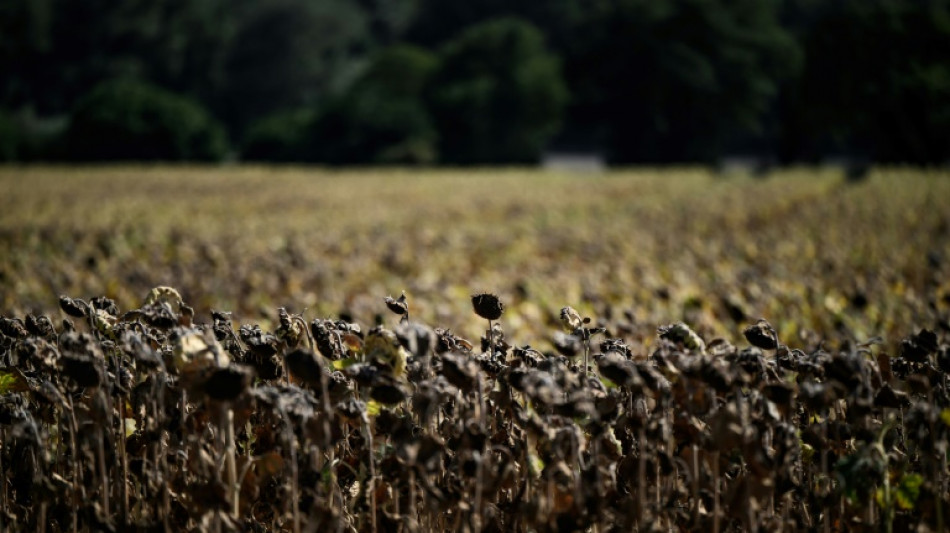 Umfrage: Besorgnis &uuml;ber gesundheitssch&auml;dliche Umweltprobleme sinkt