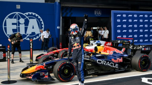 Red Bull's Verstappen grabs pole position for Bahrain GP