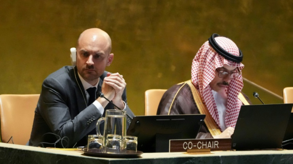 Plaidoyers à l'ONU pour la solution à deux Etats, israélien et palestinien