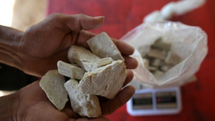 Vier M&auml;nner nach Hamburger Rekordfund von Kokain in Hannover angeklagt