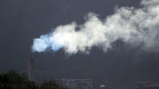 Pour r&eacute;duire les &eacute;missions de l'industrie lourde, l'AIE donne des pistes au G7