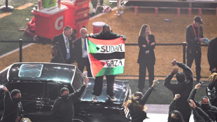 Super Bowl: Mann mit Pal&auml;stina-Flagge abgef&uuml;hrt