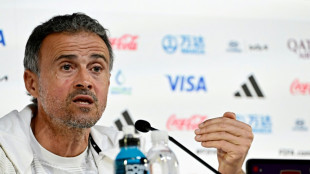 Enrique mit Respekt vor DFB-Elf: "Sehr &auml;hnliche Prinzipien"