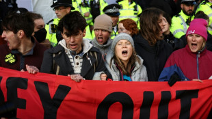 La militante ecologista Greta Thunberg detenida en Londres en una manifestaci&oacute;n