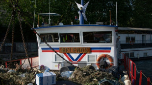 Le B&eacute;l&eacute;nos, infatigable gu&eacute;risseur des eaux de la Seine