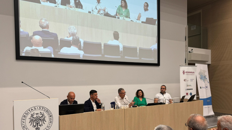 Regione Fvg, ottimisti su vendemmia, ma c'&egrave; incognita meteo