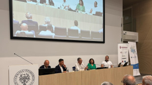 Regione Fvg, ottimisti su vendemmia, ma c'&egrave; incognita meteo