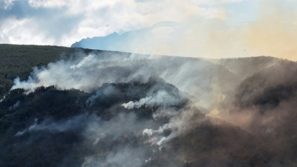Argentina apunta a un grupo mapuche y a su l&iacute;der por los incendios en la Patagonia