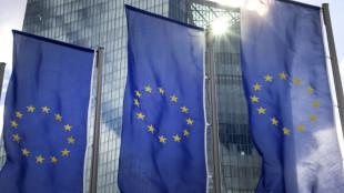 Sitzung am Donnerstag: EZB d&uuml;rfte Leitzinsen zum vierten Mal in diesem Jahr senken