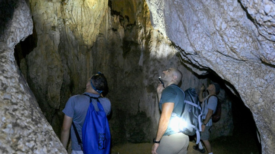 New species teem in Cambodia's threatened karst