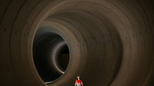 Un nouveau "super-&eacute;gout" &agrave; Londres pour mettre fin &agrave; la pollution de la Tamise