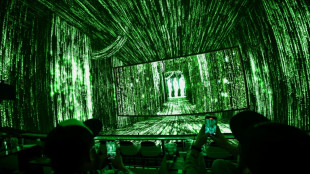 'The Matrix is everywhere': cinema bets on immersion