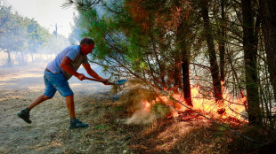 Emergenza incendi, tre morti in Portogallo
