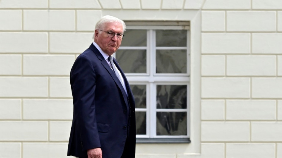 Pr&auml;sident Steinmeier reist zu Gipfel in Belgien
