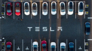 Les ventes de Tesla ont continu&eacute; de chuter en France en f&eacute;vrier