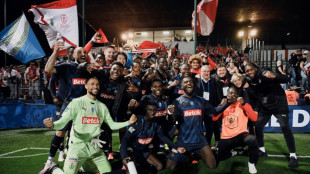 Coupe de France: Cannes tombe en combattant contre Reims, qui d&eacute;fiera Paris en finale