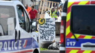 Vertbaudet: fin de plus de deux mois de gr&egrave;ve, la CGT crie victoire 