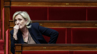 Proc&egrave;s du RN: Marine Le Pen fix&eacute;e sur son sort et son avenir politique