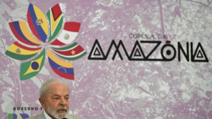 Com bom desempenho na Amaz&ocirc;nia, Lula tenta aumentar press&atilde;o sobre pa&iacute;ses ricos na COP28