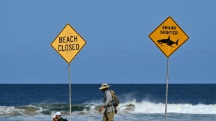 Junge in Australien bei Hai-Angriff lebensgef&auml;hrlich verletzt