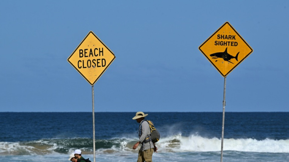 Shark kills one person, injures another in Australia
