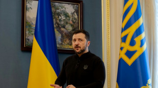 Ukraine: Zelensky re&ccedil;oit l'&eacute;missaire de Trump dans un contexte tendu