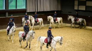 En Slov&eacute;nie, les chevaux Lipizzan virevoltent pour l'Unesco