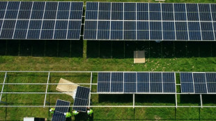 L'"&egrave;re de l'&eacute;lectricit&eacute;" renouvelable d&eacute;ferle dans un monde encore &eacute;pris d'&eacute;nergies fossiles
