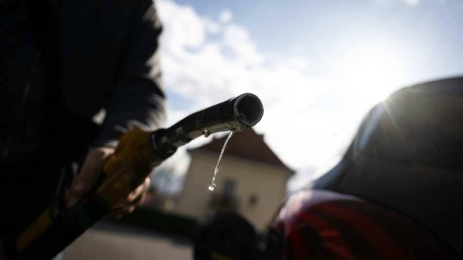 La OPEP+ advierte que reparar las plantas energ&eacute;ticas da&ntilde;adas en la guerra "tomar&aacute; mucho tiempo"