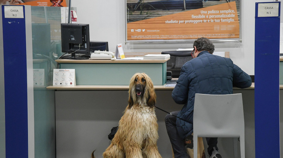 Scope Rating, per banche italiane forte redditivit&agrave; nel 2024