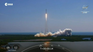 Rakete bringt europ&auml;isches Weltraumteleskop Euclid ins All