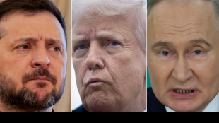 Trump diz que tr&eacute;gua est&aacute; bem encaminhada ap&oacute;s falar com Zelensky