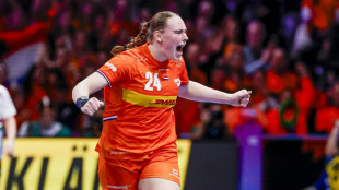 Co-Gastgeber Niederlande im Halbfinale