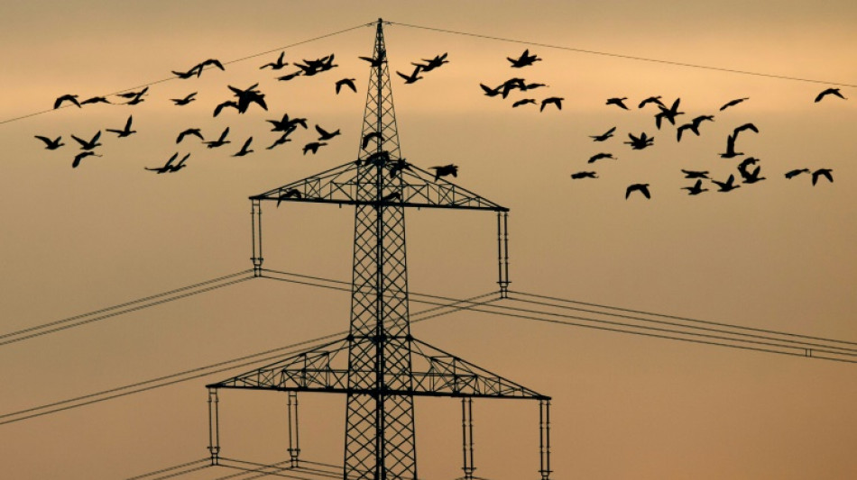 Edenhofer warnt f&uuml;r den Winter vor Versorgungskrise bei Strom