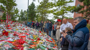 Liverpool plant Skulptur f&uuml;r Jota