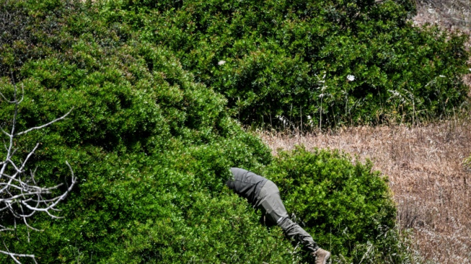 Nova investigação sobre caso Maddie em Portugal é concluída sem resultados divulgados