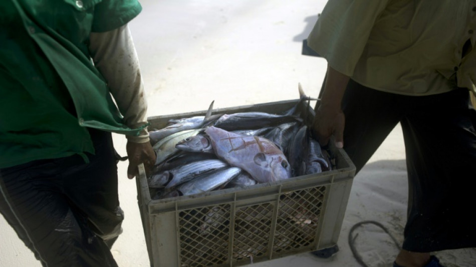 Tribunal da ONU decide disputa territorial entre Col&ocirc;mbia e Nicar&aacute;gua