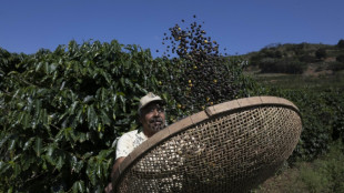 EUA estuda reduzir tarifas de produtos como café e bananas