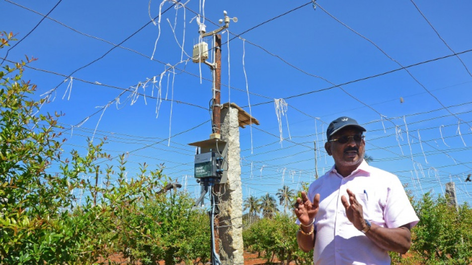 L'intelligence artificielle &agrave; la rescousse des agriculteurs indiens