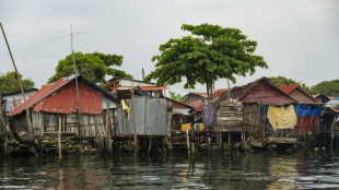 Un año después del éxodo, la quietud invade la isla panameña que se tragará el mar